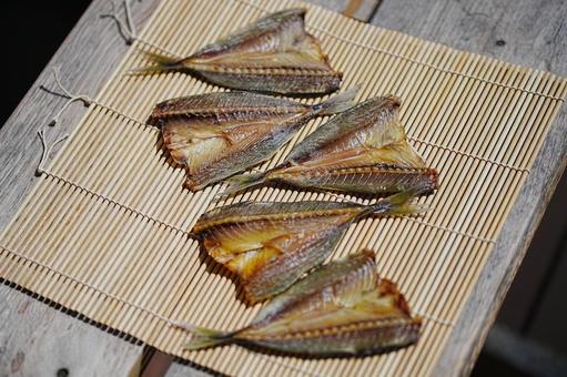 鯵のみりん干し 鯵のみりん干し アジ,魚,干物の写真素材