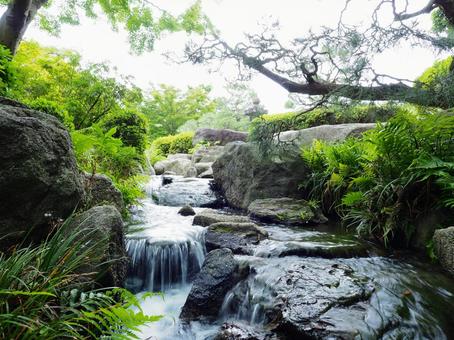 日本庭園 風景,自然,川の写真素材