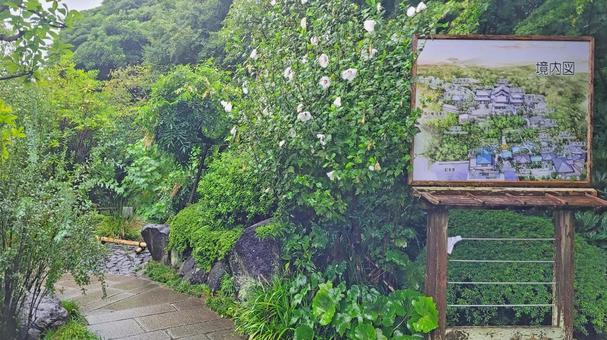 坂東33観音 04番 長谷寺 雨天の参道 坂東33観音 04番 長谷寺 雨天の参道 長谷寺,海光山,慈照院の写真素材