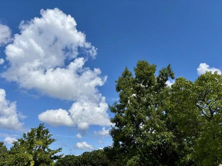 秋晴れの空 秋晴れの空の写真
