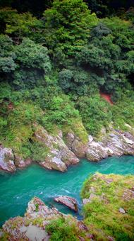 徳島県-大歩危 徳島県-大歩危 大歩危,吉野川,天然記念物の写真素材