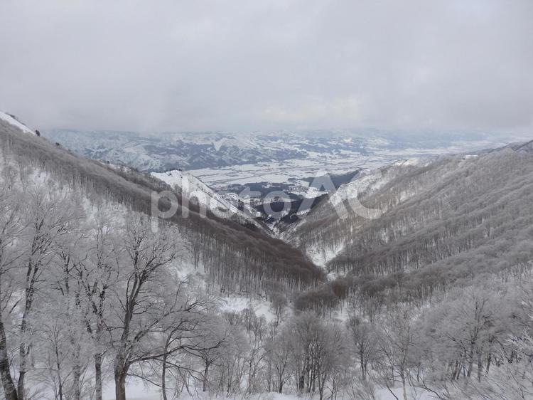 新潟県　岩原スキー場 景色,風景,雪山の写真素材