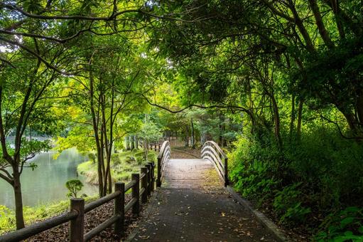 公園の風景 公園の風景の写真