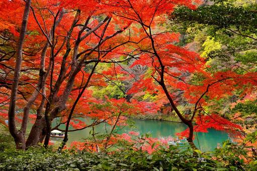 晩秋の嵐山 晩秋の嵐山 秋,京都,紅葉の写真素材
