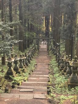 上色見熊野座神社3 上色見熊野座神社3 上色見熊野座神社,熊本県,高森町の写真素材