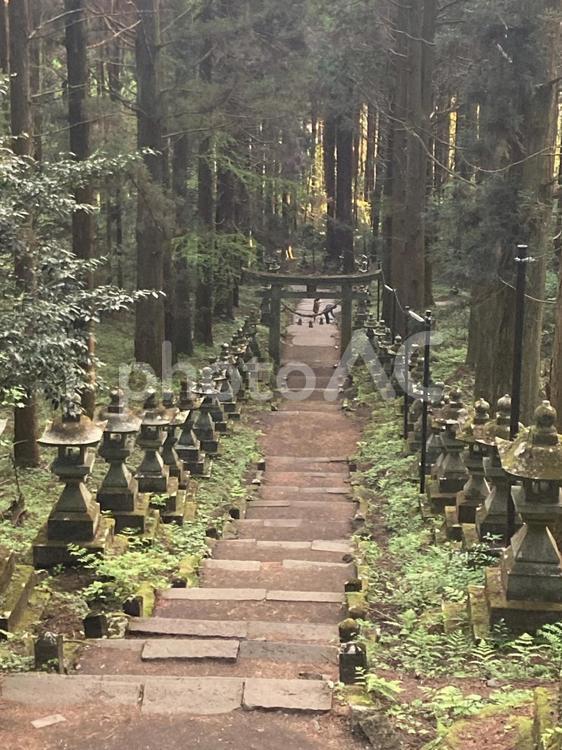 上色見熊野座神社3 上色見熊野座神社,熊本県,高森町の写真素材