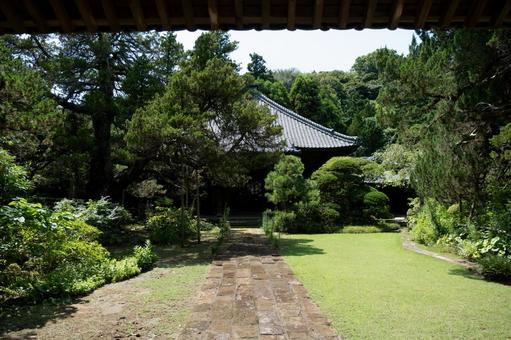 ［神奈川県鎌倉市］寿福寺 鎌倉,寿福寺,参道の写真素材