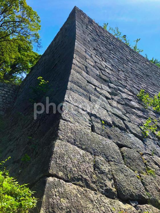 讃岐・丸亀城「石垣」 城,天守,丸亀城の写真素材