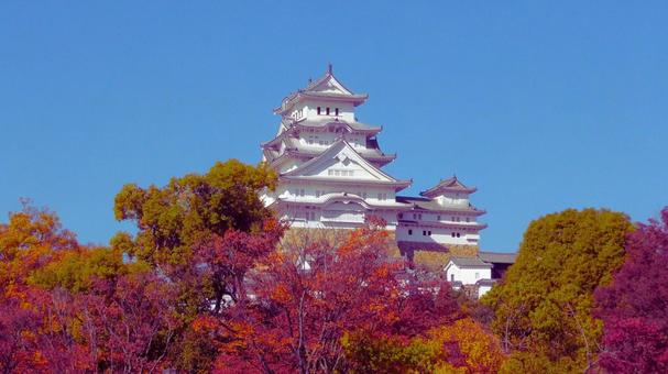姫路城 東側2 姫路城,白鷺城,紅葉の写真素材