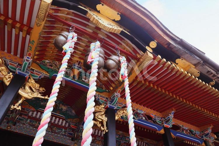 大崎八幡宮・仙台 大崎八幡宮,神社,宮城の写真素材