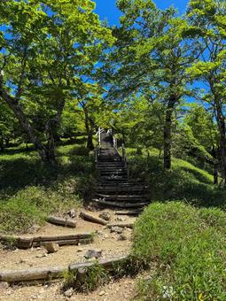 大台ヶ原 大台ヶ原の写真