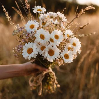麦畑で摘んだ、野の花の美しい花束 麦畑で摘んだ、野の花の美しい花束の写真