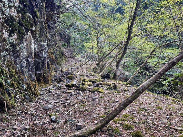 山奥の石が転がる荒れた山道 山道,苔むした,苔の写真素材