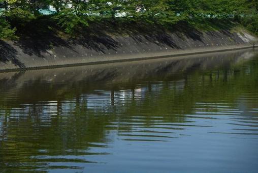 Trees and blue sky reflected on the surface of the river, wood, the trees, tree trees, JPG