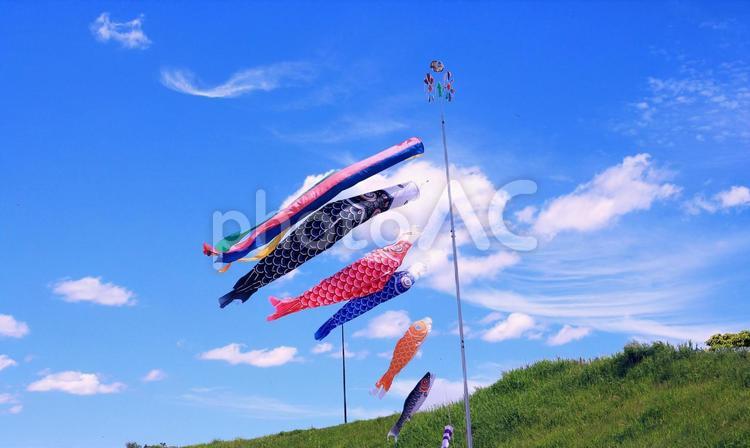 河川堤防の鯉のぼりと青空・雲 鯉のぼり,子供の日,5月の写真素材