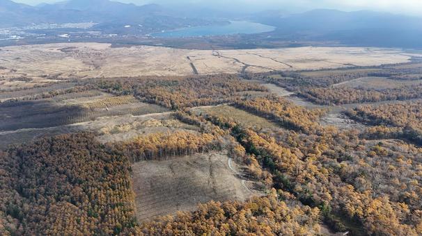 平原紅葉001 山,紅葉,山紅葉の写真素材