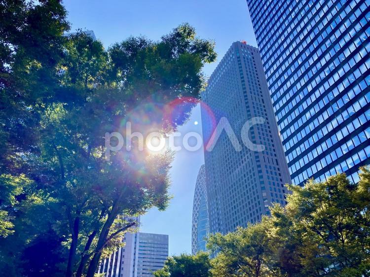 ビル街を射る強烈な日差し 夏,7月,8月の写真素材