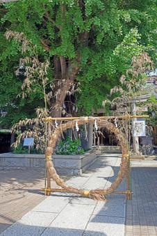 飛木稲荷神社(墨田) 飛木稲荷神社(墨田) 飛木稲荷神社,宇迦之御霊神,北条氏一門の写真素材