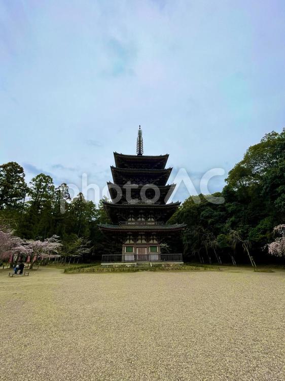 醍醐寺の五重塔、歴史的建造物 醍醐寺,五重塔,塔の写真素材