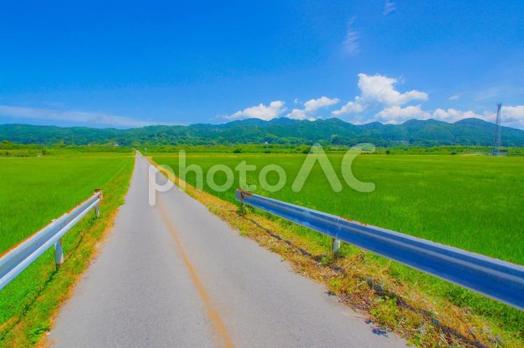 田園の交差点と車 田園,交差点,車の写真素材