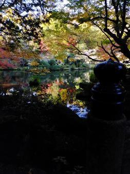 <千葉県>成田山公園(紅葉) <千葉県>成田山公園(紅葉)の写真