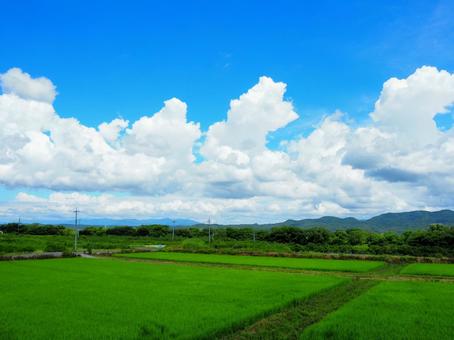 夏の景色33 夏の景色33の写真