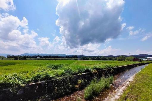 2025年7月の里山4 2025年7月の里山4 用水路,水路,田んぼの写真素材