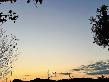 夕焼けと銀杏のシルエット 夕焼け,イチョウ,シルエットの写真素材