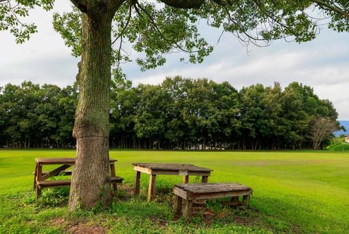ベンチ 公園 ベンチ 公園の写真