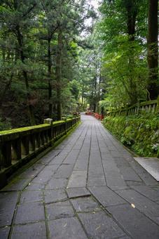 [榛名神社]神社への小道の写真