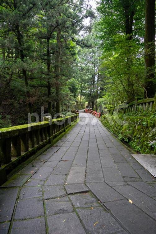 [榛名神社]神社への小道 榛名山,山道,背景の写真素材