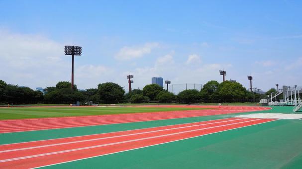 夏の夢の島公園・競技場（東京都江東区） 夏,夢の島公園,夢の島競技場の写真素材