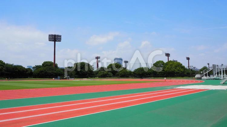 夏の夢の島公園・競技場（東京都江東区） 夏,夢の島公園,夢の島競技場の写真素材