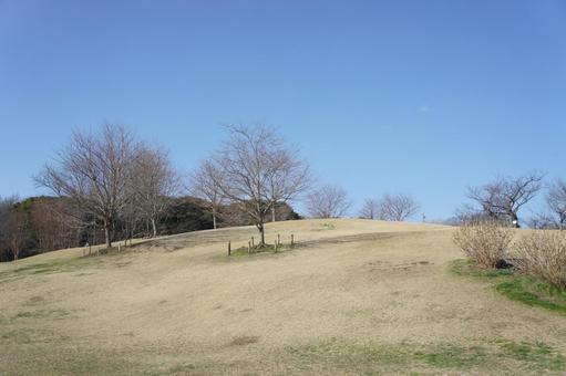 小高い山 草原,小高い山,自然の写真素材