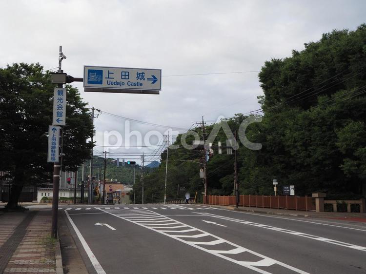 二の丸通り（長野県・上田市） 二の丸通り,上田城周辺,城下町の写真素材