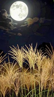 十五夜 満月とすすき 秋イメージ 十五夜 満月とすすき 秋イメージの写真