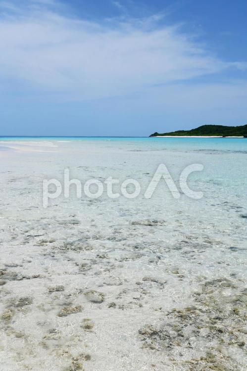 沖縄の美しい海 日本,沖縄,海の写真素材