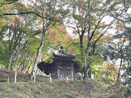 香嵐渓　太子堂（愛知県） 紅葉,香嵐渓,太子堂の写真素材
