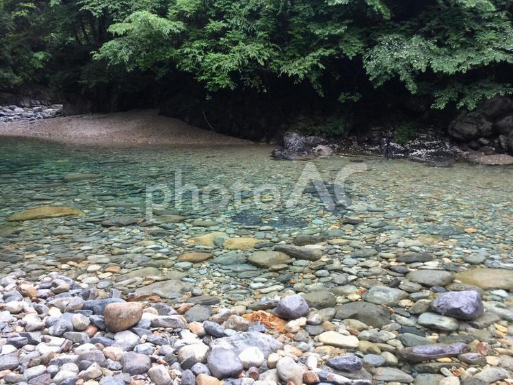 長野　阿寺渓谷　川のせせらぎ 何人もありません,夏,小川の写真素材