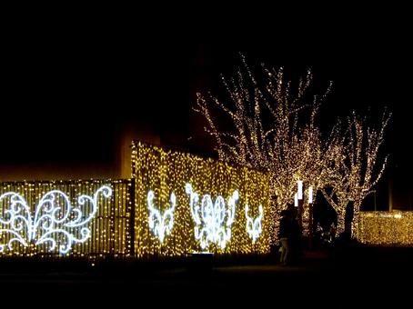 Illuminated Security Park, fukuoka city, new year's holiday, street tree, JPG