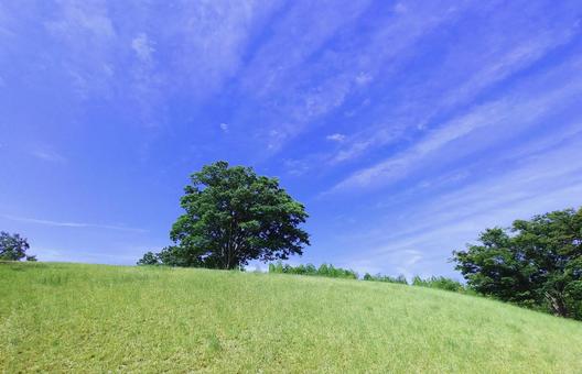 夏の風景/芝生の丘・宍道湖ふれあいパーク 夏の風景/芝生の丘・宍道湖ふれあいパーク 丘,芝生,広場の写真素材