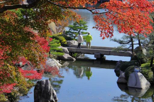 三景園で秋を満喫-4 三景園で秋を満喫-4の写真
