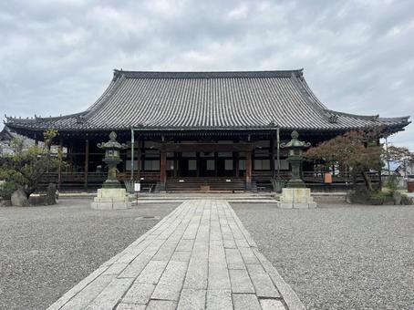 長浜別院大通寺 長浜別院大通寺 大通寺,長浜別院,寺院の写真素材