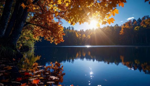 紅葉に包まれた湖と太陽光 紅葉に包まれた湖と太陽光の写真