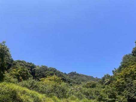空と木2 空と木2 空,風景,自然の写真素材