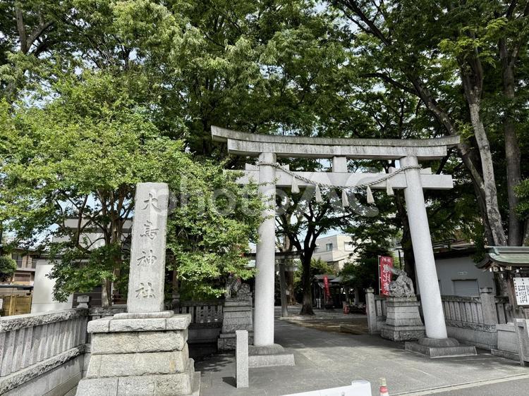 豊島区　池袋　大鳥神社　正門の鳥居 正門,神社仏閣,狛犬の写真素材