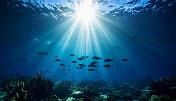 光が差し込む幻想的な海中の世界 光が差し込む幻想的な海中の世界の写真