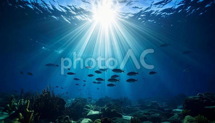 光が差し込む幻想的な海中の世界 海中,魚,光芒の写真素材