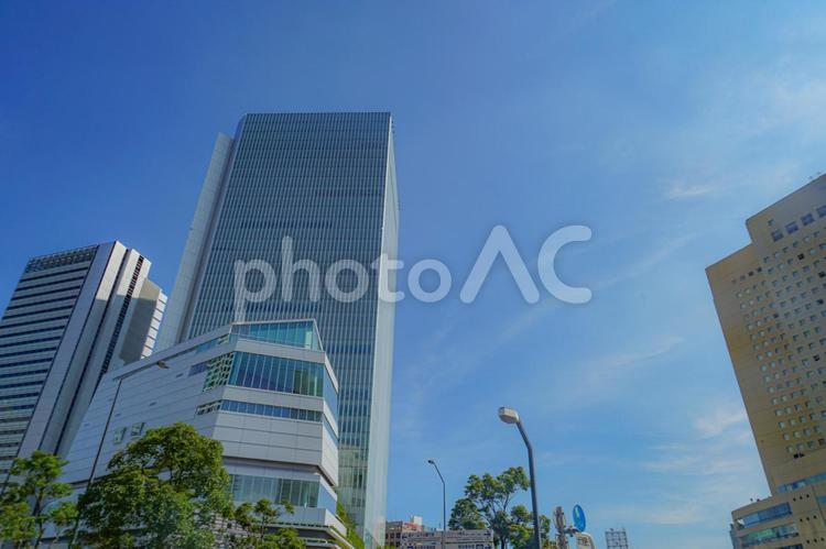 初夏の横浜みなとみらい街並み 初夏,みなとみらい,横浜みなとみらいの写真素材