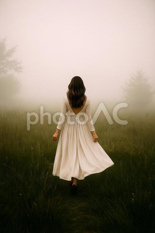 霧の草原を歩く女性 女性,霧,草原の写真素材